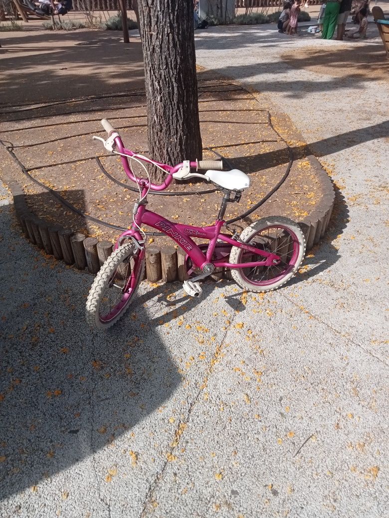 Bicicleta de criança