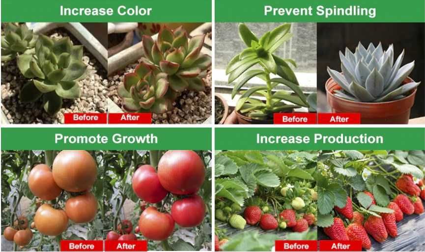 Фіто LED стрічка для рослин з USB