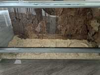 Terrarium 80x35x40