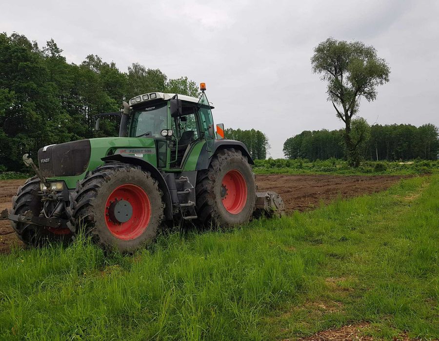 Zakupimy las, wyrąb lasów,wycinka drzew ,skup drewna, rekultywacja