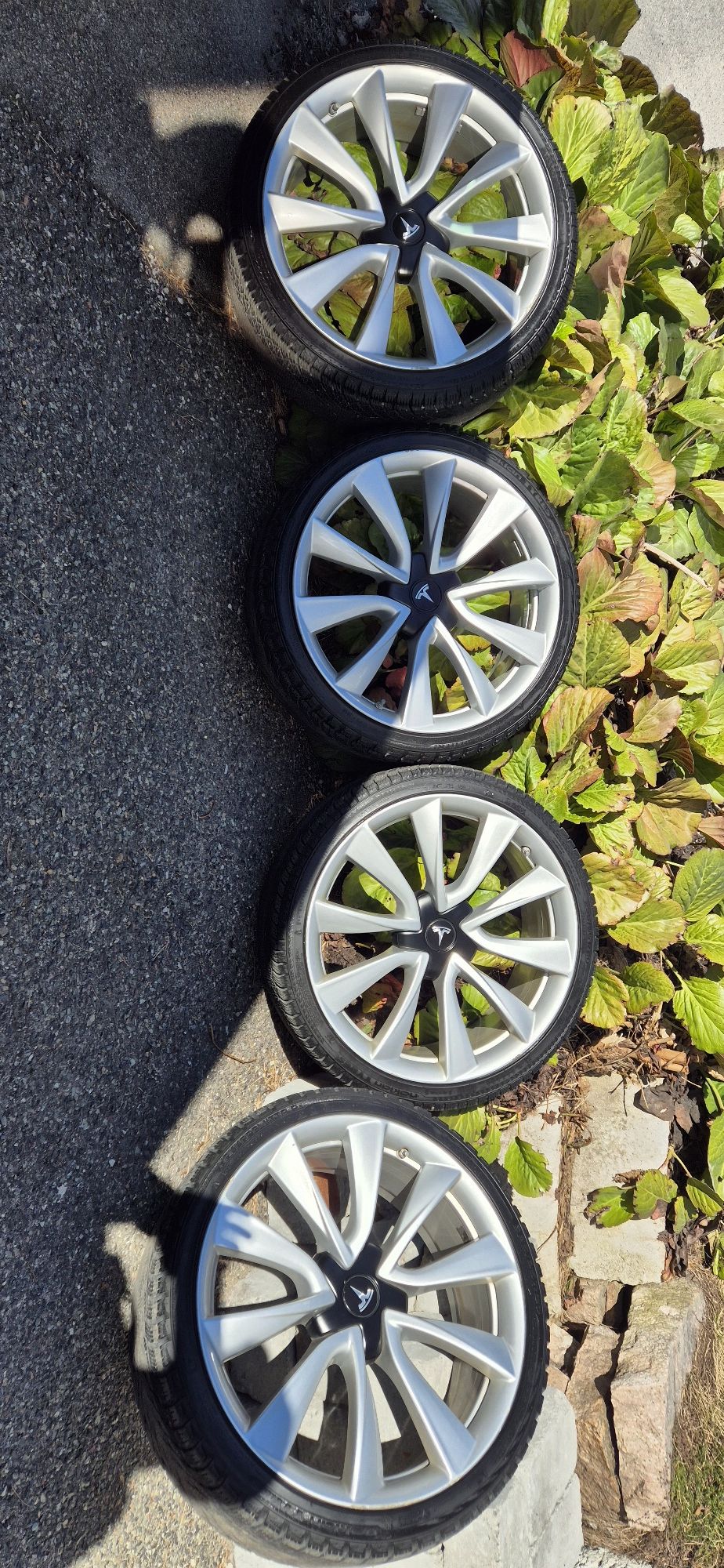Koła Testa model 3 20"cali Performance