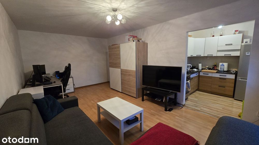 Czeladź ul. Ogrodowa wolne od zaraz