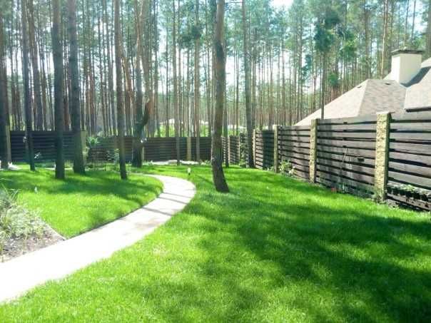 Якісний Рулонний газон, Газон в рулонах, Посівний газон від Виробника!