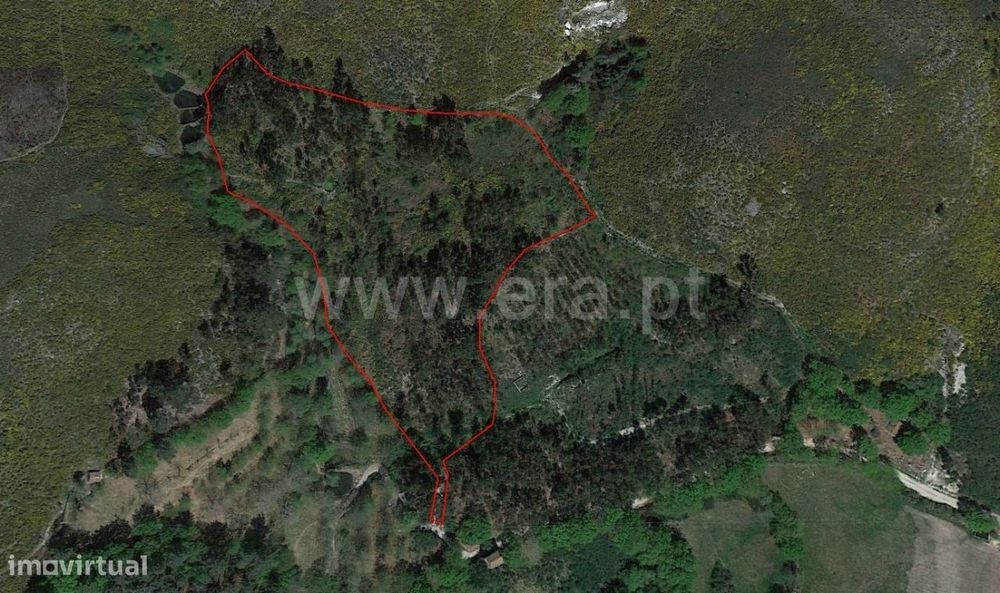 Terreno florestal com 19.000 m2 em Estorãos
