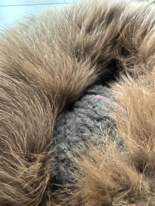 Czapka futro futrzana kozuch lis lisa jenot skorzana