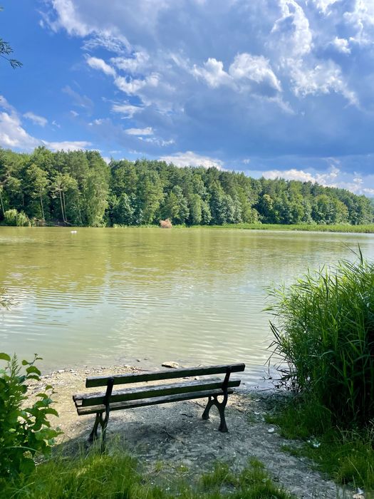 Roztocze domki na wzgórzu