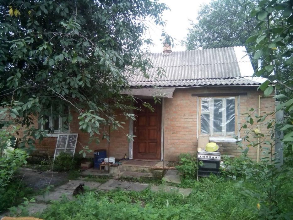 Продам будинок з 10 сотками землі, Борова, від власника!