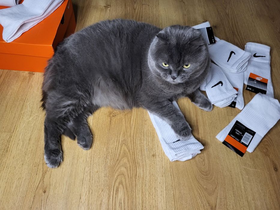 Шкарпетки чоловічі високі найк носки мужские Nike білі