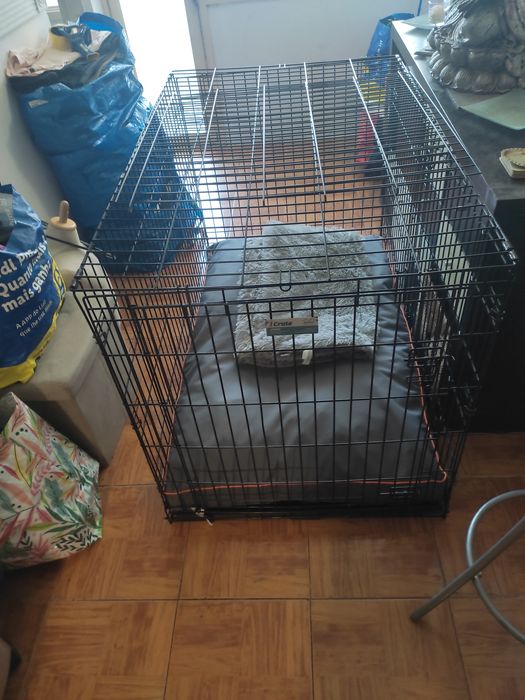 Jaula cão crate XXL