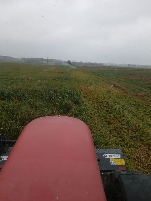 Usługa mulczowania(po kukurydzy poplonów i nie użytkownik)