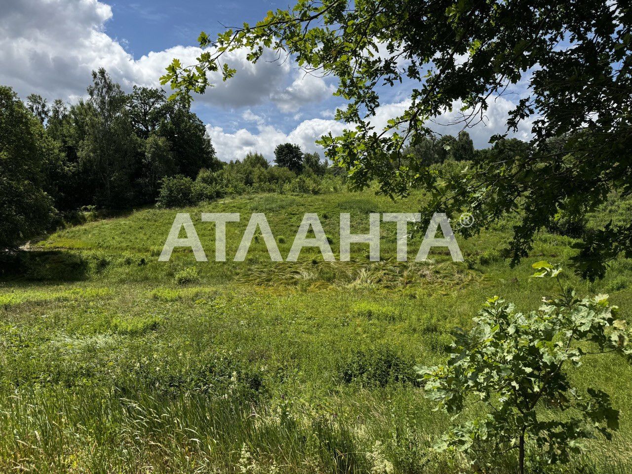 Продаж ділянки у с. Рокитно для с/г призначення