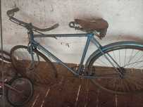 Bicicleta Pasteleira
