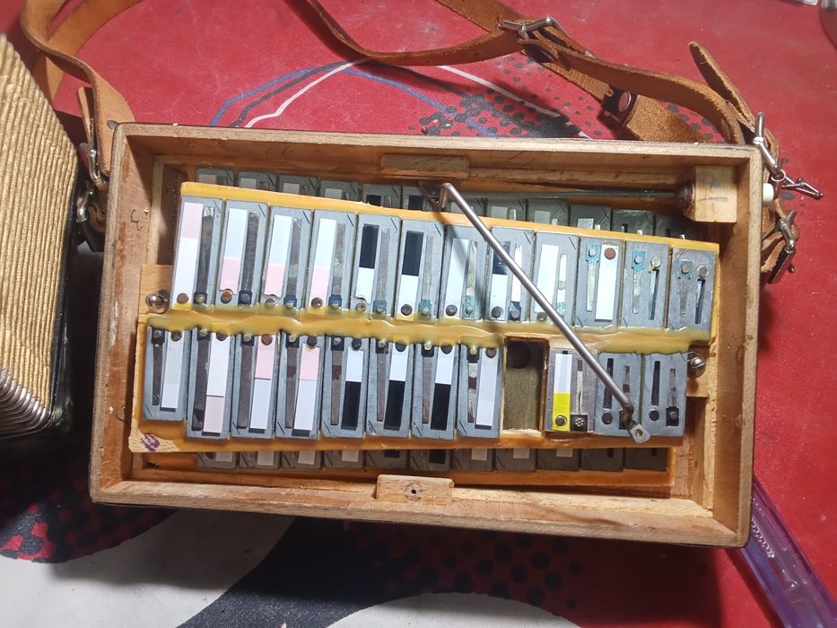 Mini concertina verdadeira