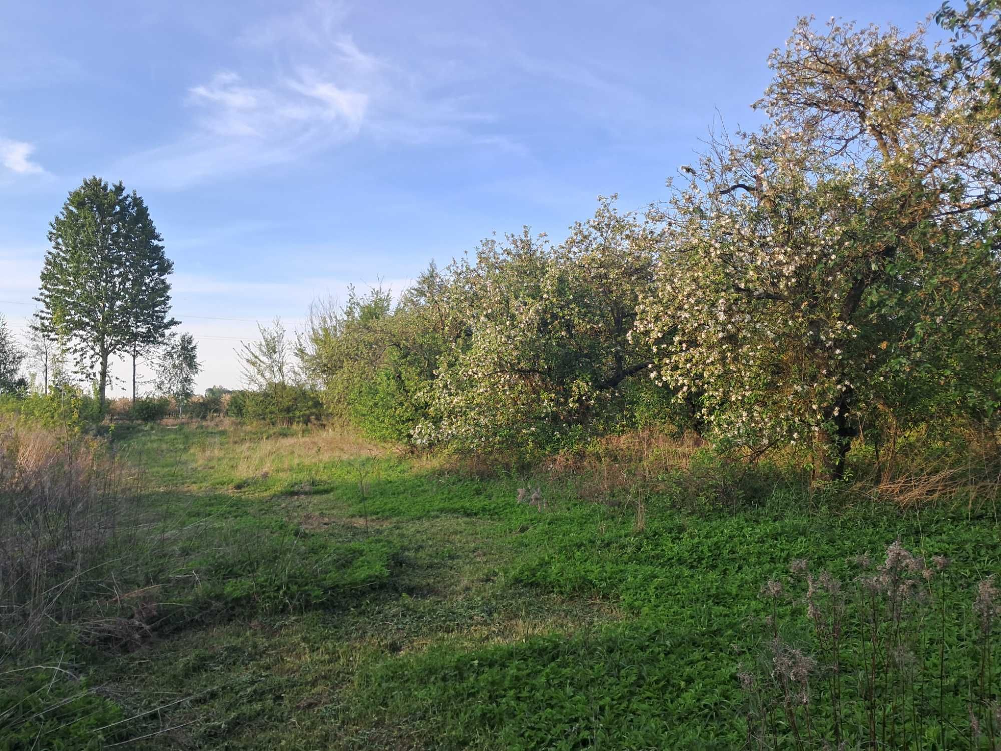 Działka 57ar z domem nad Wisłą, między Sandomierzem, a Kazimierzem D.