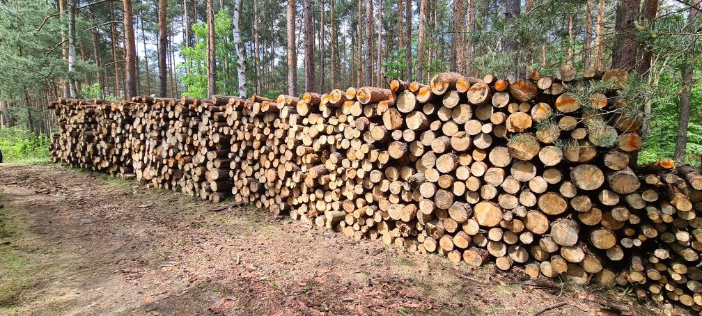 Drewno drzewo opał opałowe kominkowe  klocki sosna brzoza buk dąb