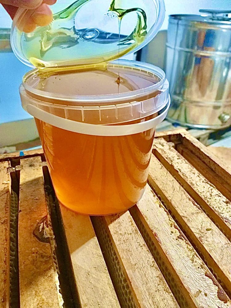Мёд цветочный разнотравье мед квітковий с собственной пасеки соты 2023
