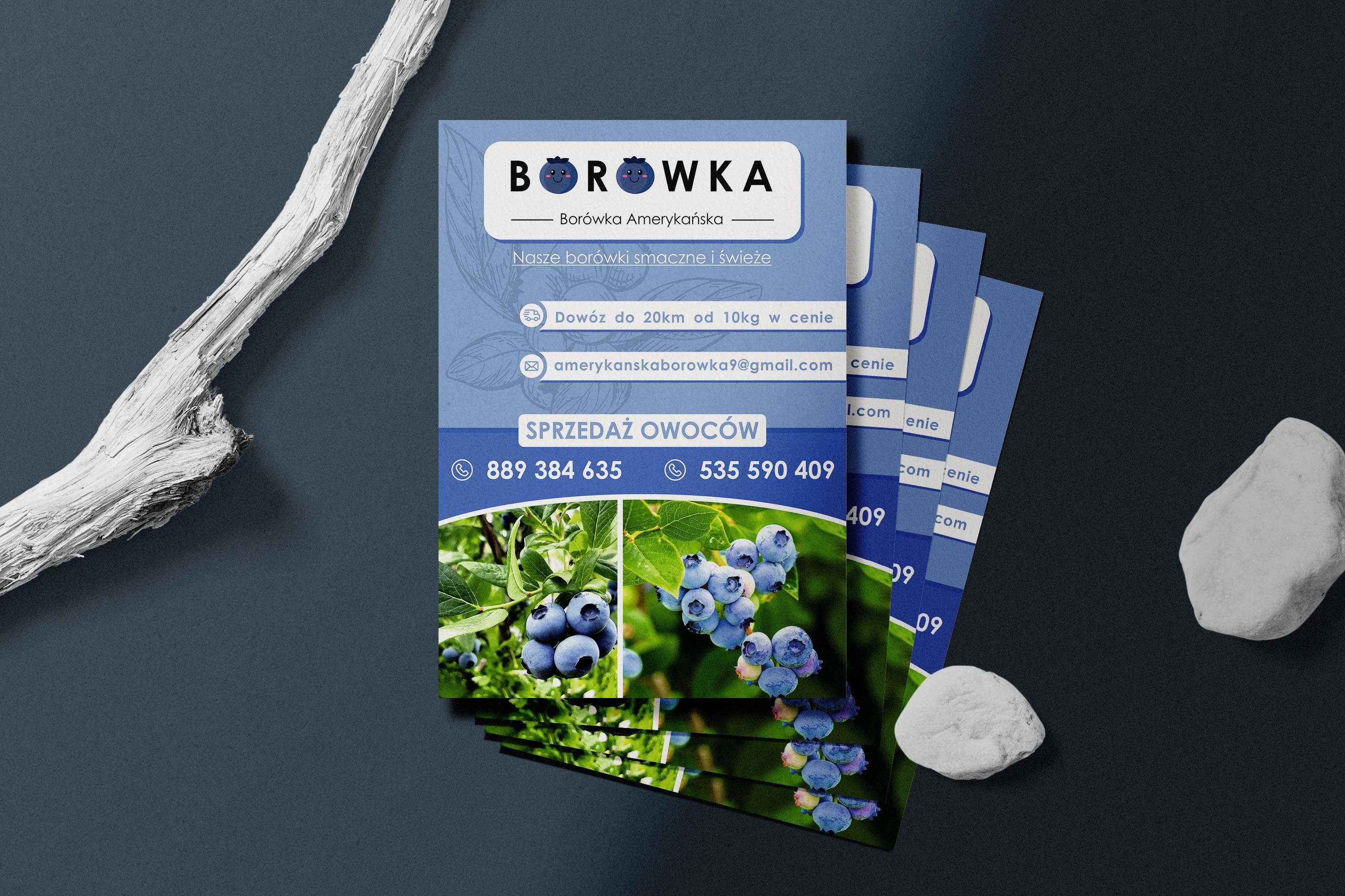 Wizytówki dwustronne 500szt Projekt + druk + wysyłka gratis