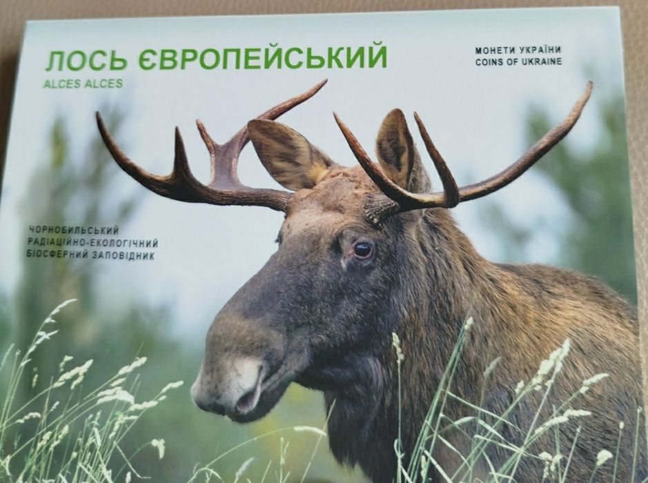 Чорнобиль Відродження. Лось європейський у сувенірному пакованні