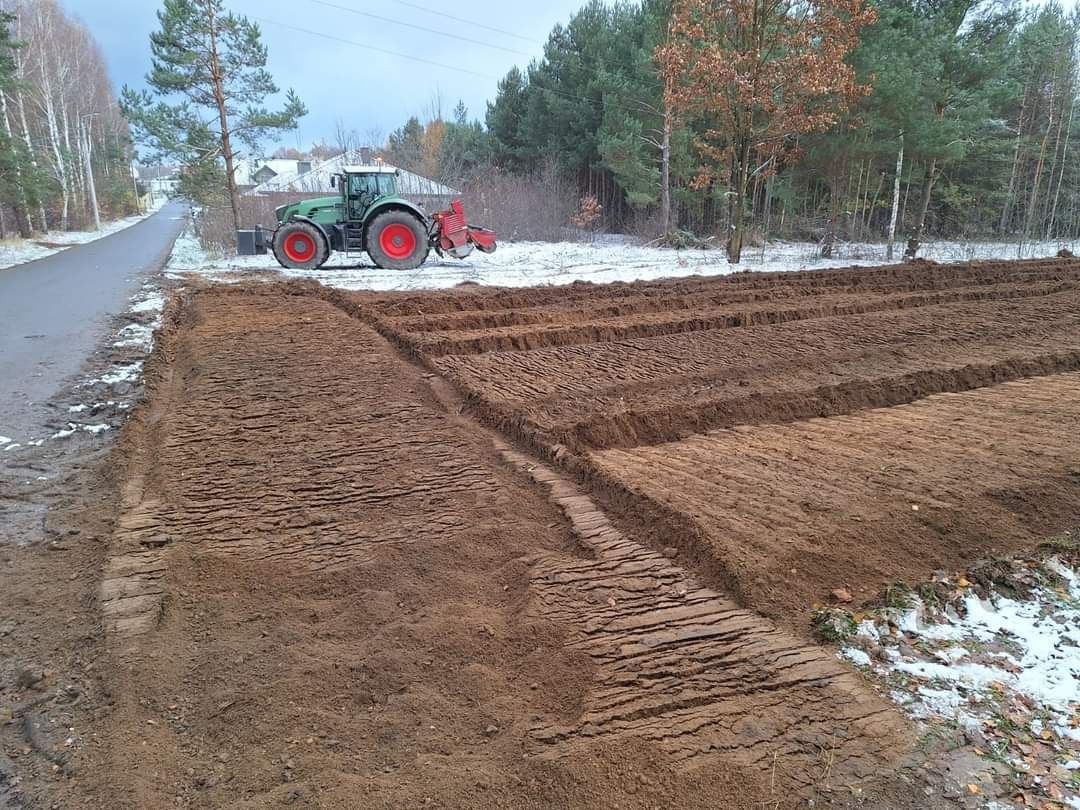 Wycinka drzew Frezowanie pni drzew Mulczer Wgłębny, Mulczer Leśny