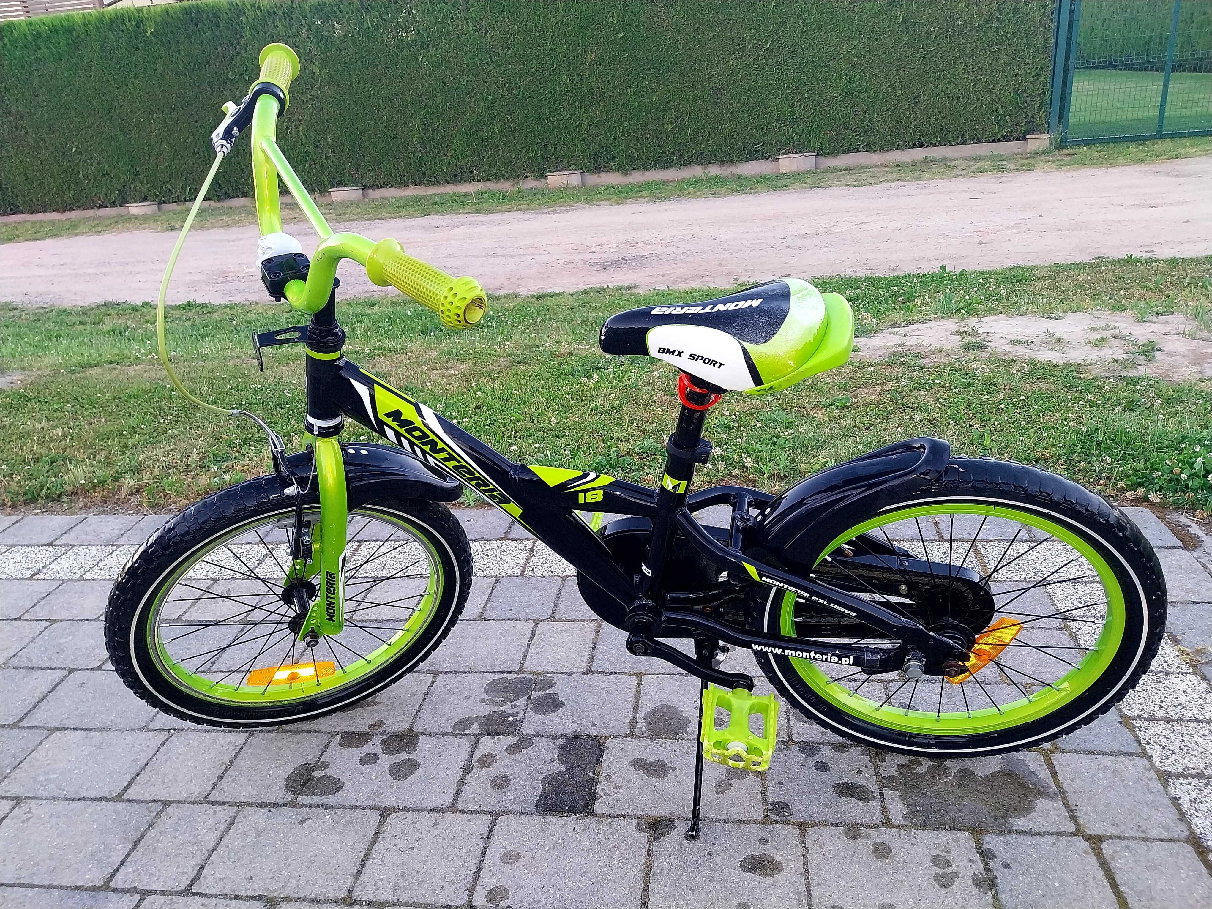 Rowerek dzieciecy 20
