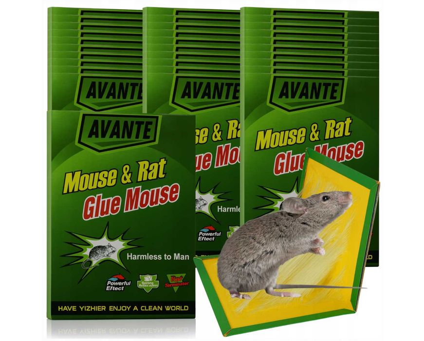 30x Lep Pułapka na Myszy Szczury Gryzonie Silny Klej Myszołapka Aromat