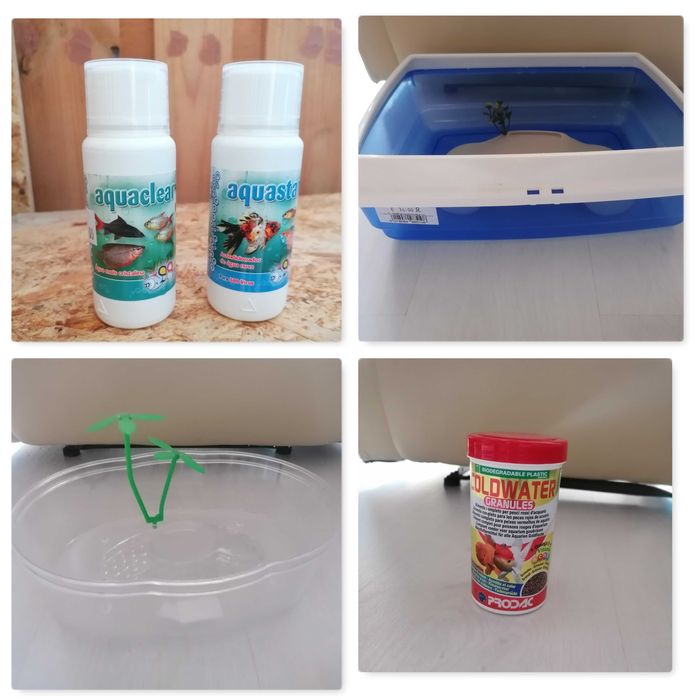 Alimentação e acessórios para roedores, peixes e aves MATERIAL NOVO