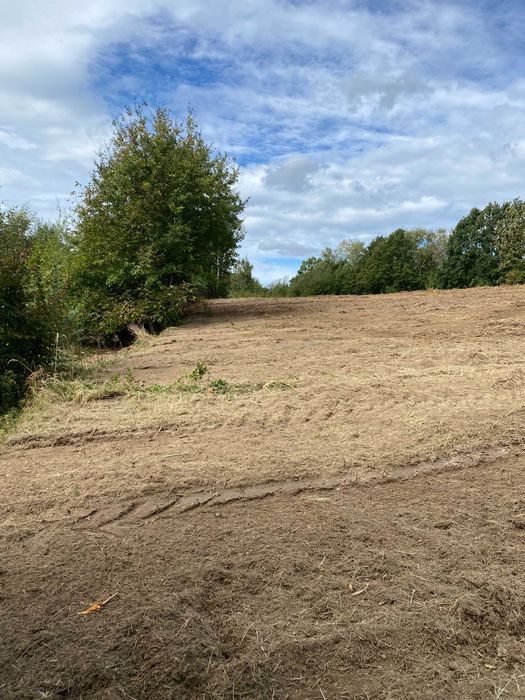 Karczowanie, czyszczenie, działek, rekultywacja, gruntów, mulczowanie