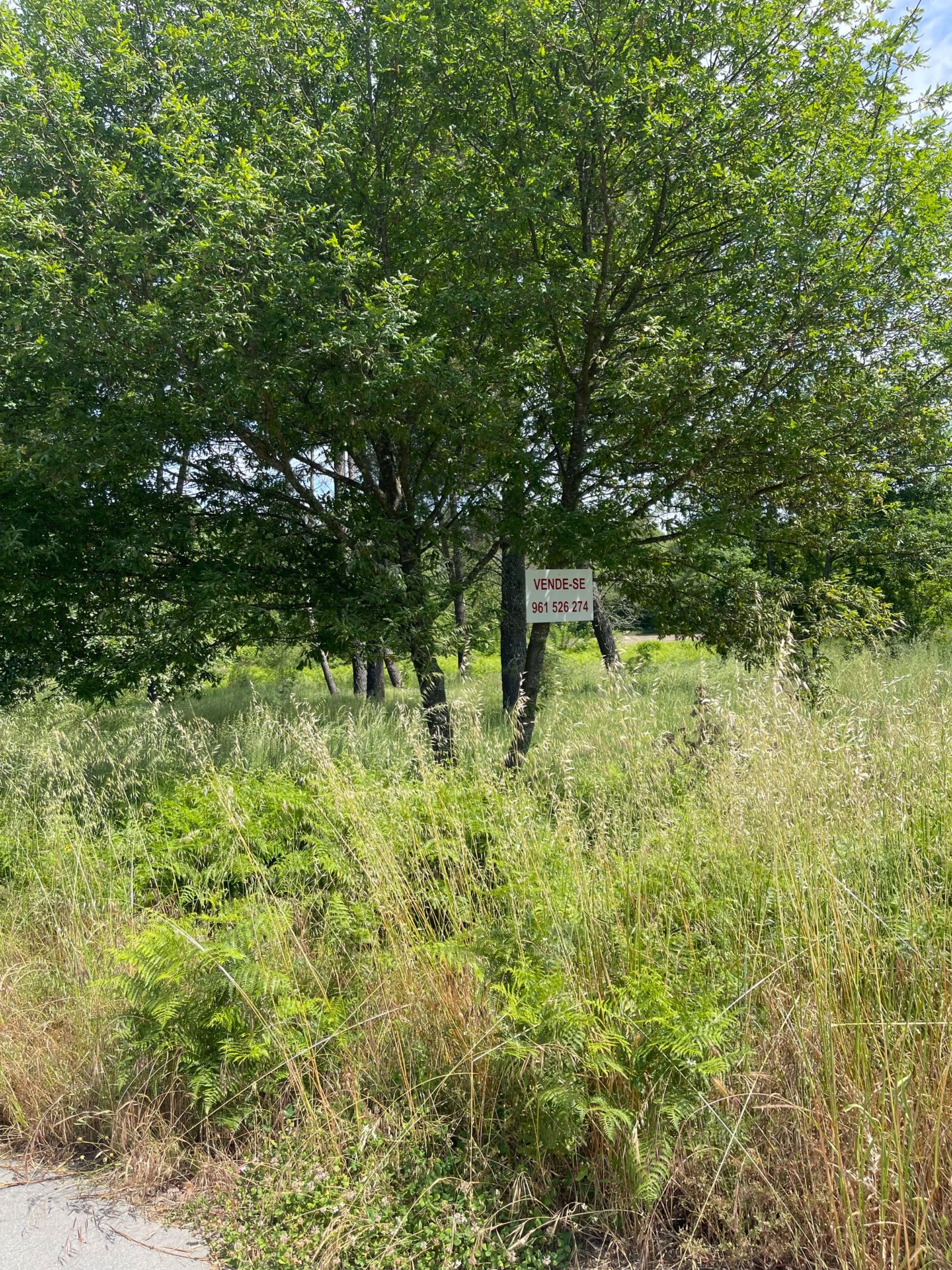 Terreno para construção em Lages 7 mil m2