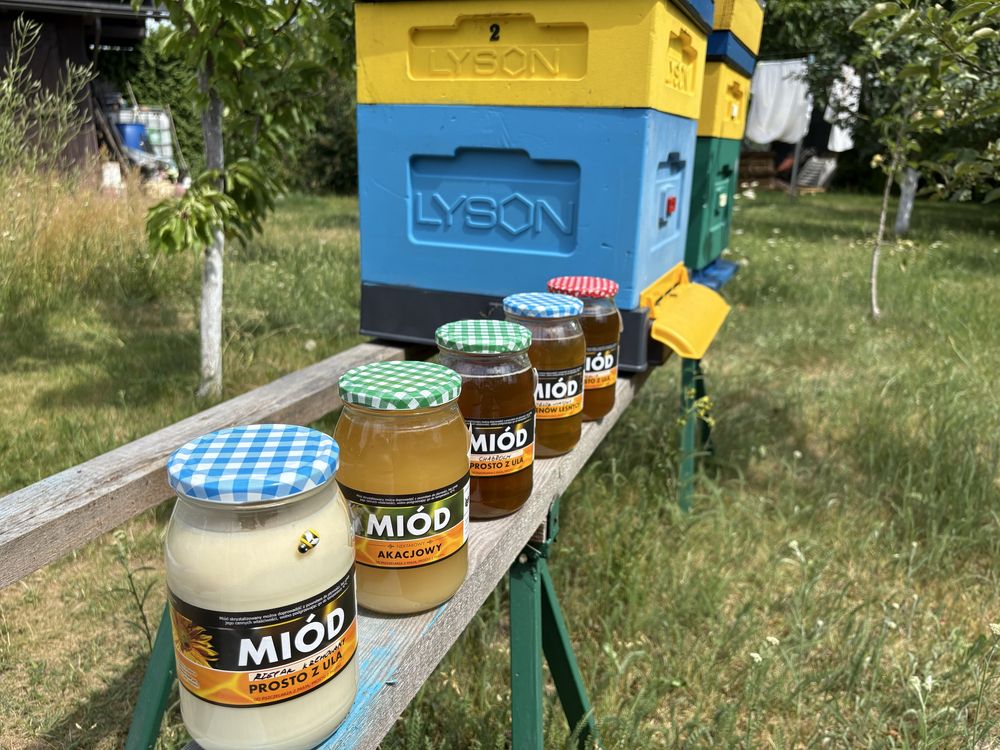 Miód - zbiory 2025 facelia, chaber, akacja, rzepak, z terenow lesnych