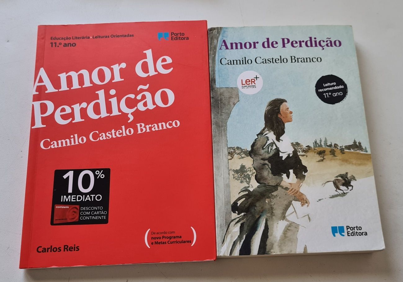 Lote de vários livros e cadernos de apoio ao estudo 11 ano