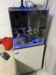 Akwarium morskie 170l
