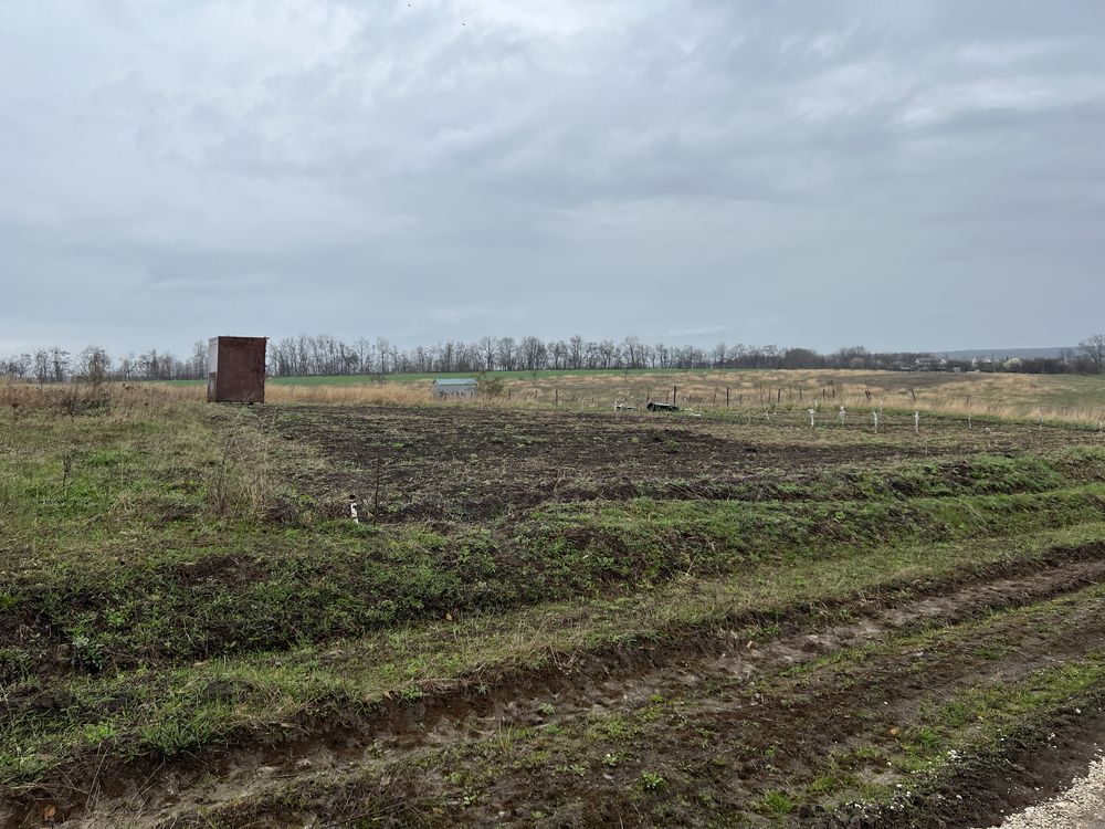 Продам ділянку Лісові Гринівці