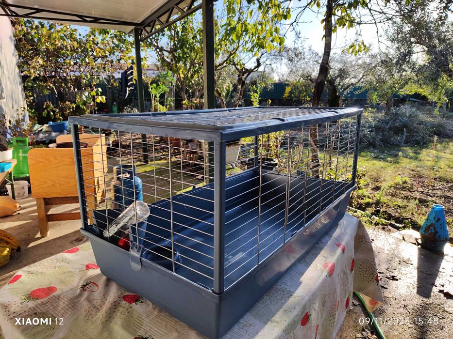 Gaiola grande para porquinhos da Índia ou coelho