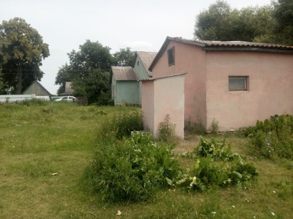 Продаж будинку в с.Краснобірка, Радомишльського р-ну