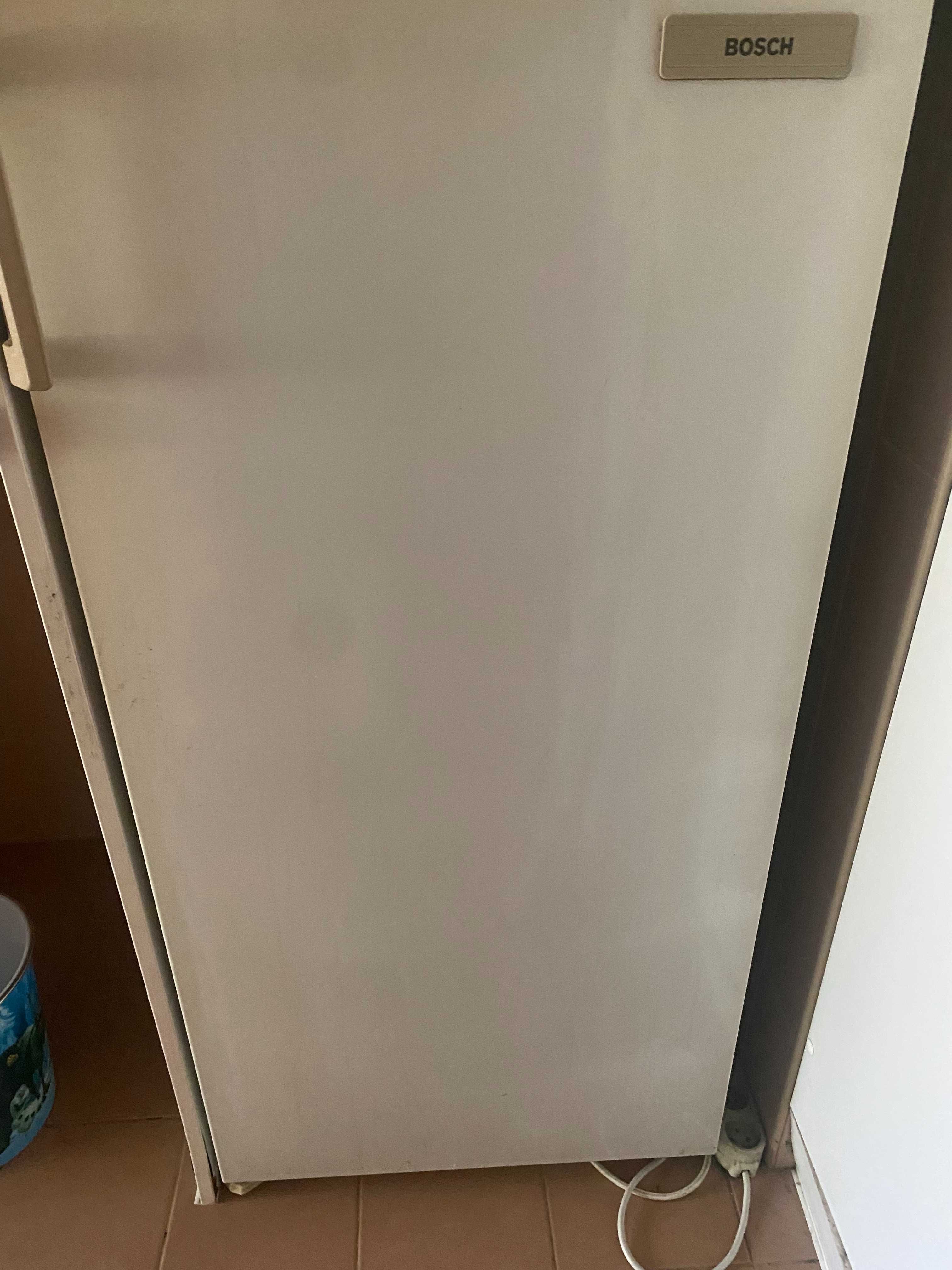 Frigorífico Bosh + arca mini frio