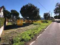 Terreno em Vale Mansos