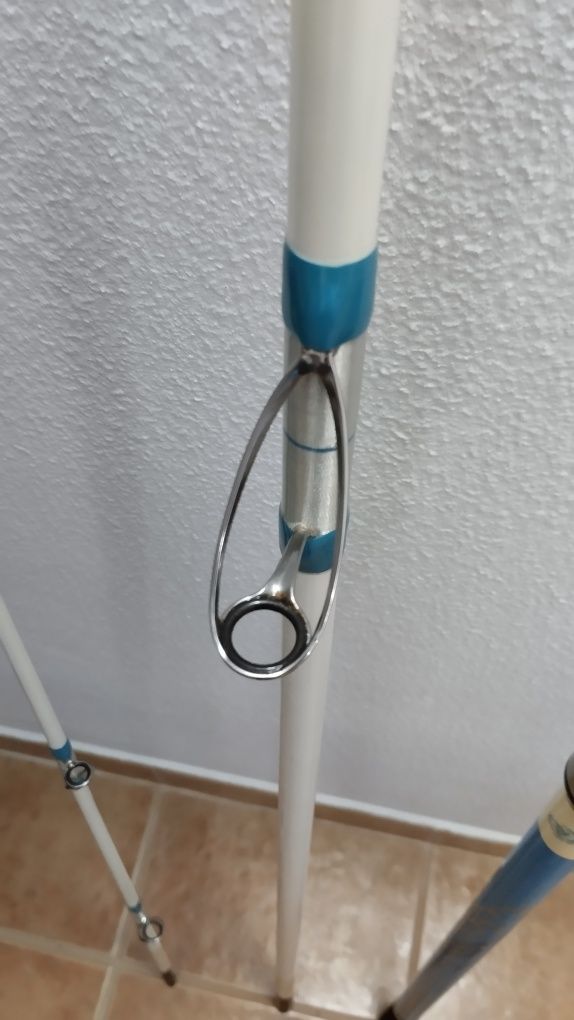 3 Canas surfcasting
