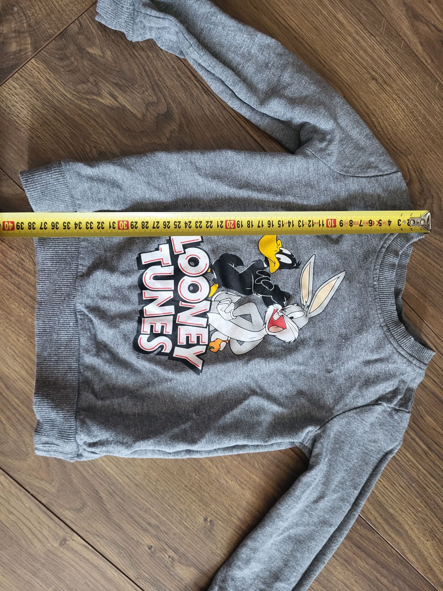 Bluza 110 szara looney tunes