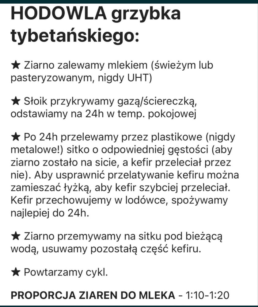 Grzybek tybetański