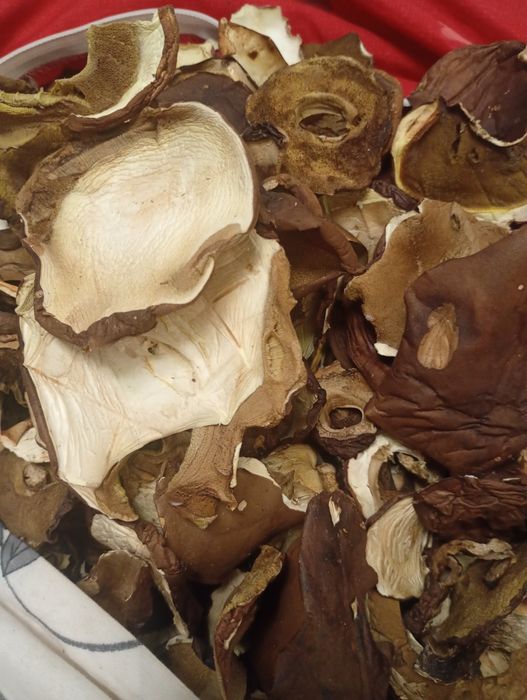 Sprzedam suszone podgrzybki