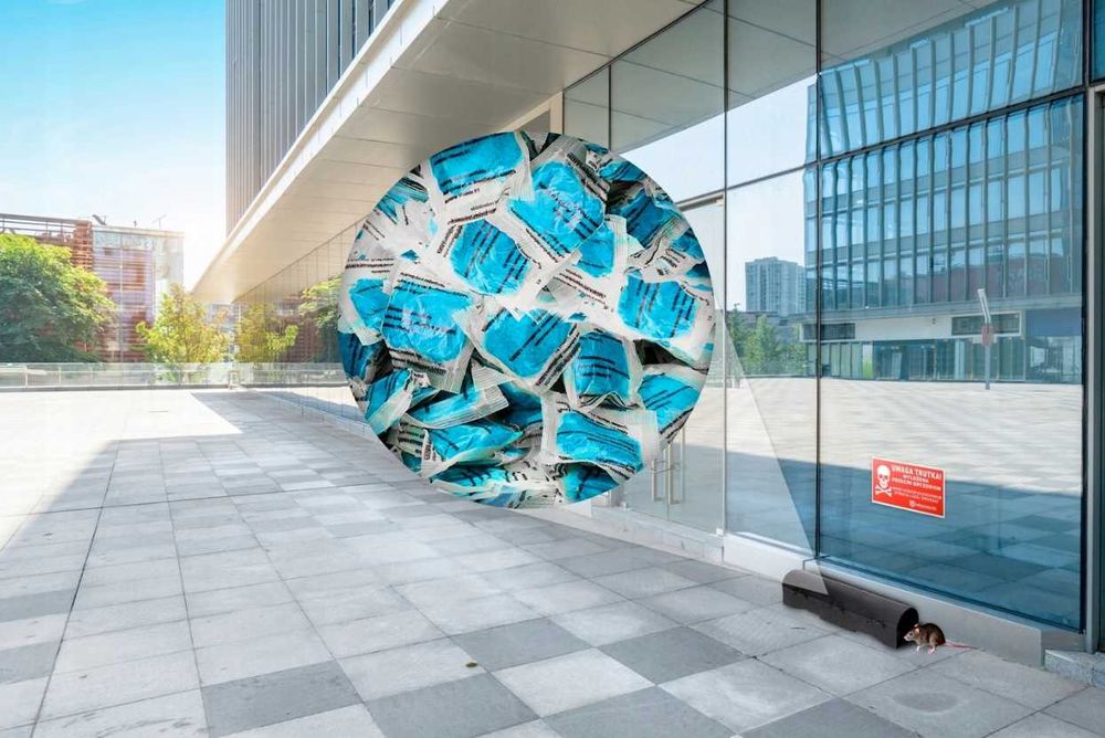 Najsilniejsza trutka na myszy i szczury - 1KG