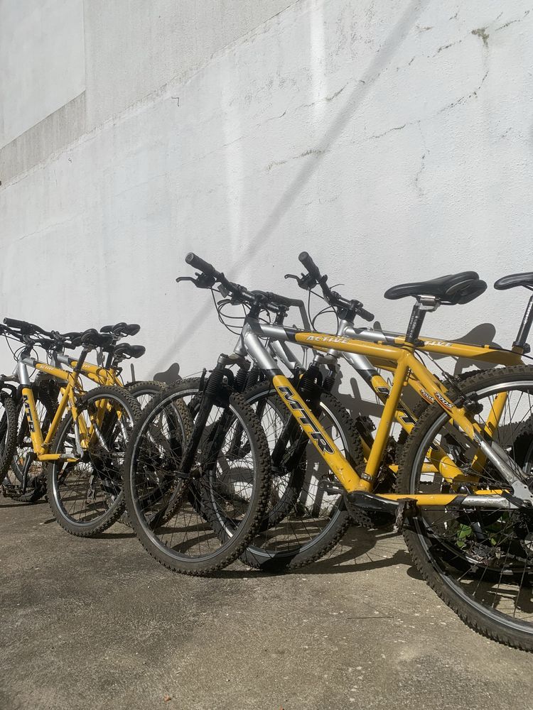 Lote bicicletas revisionadas