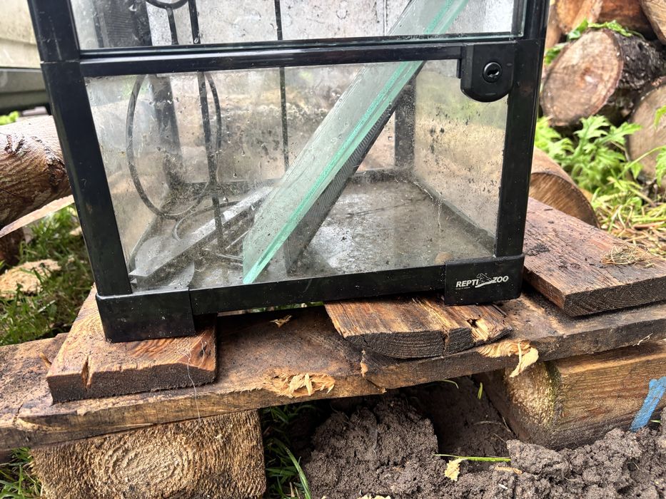 Terarium dla gada
