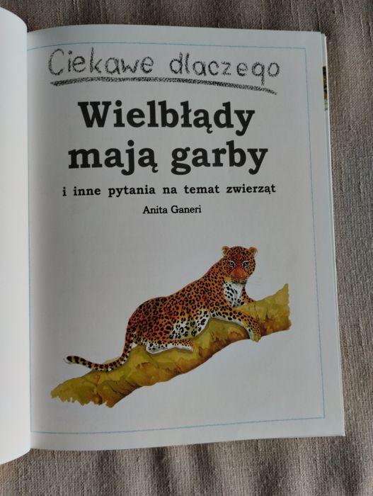 Zwierzęta nas zadziwiają ciekawe dlaczego