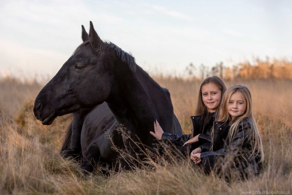 Sesja zdjęciowa z koniem. Koń do zdjęć, wynajem. Fotografia koni