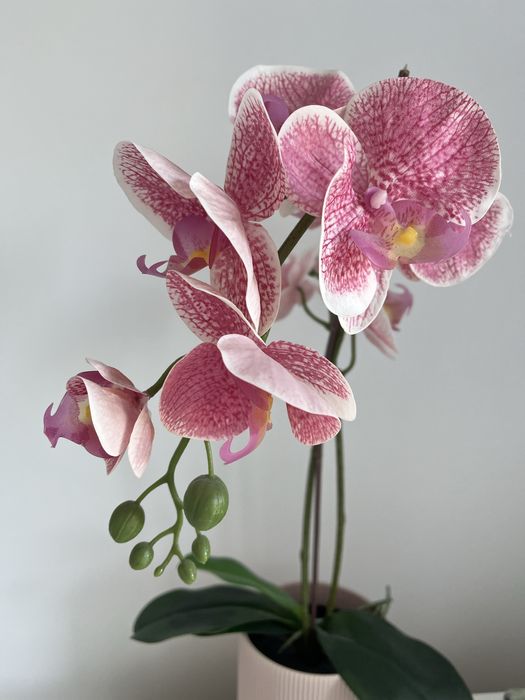 Pokój jednoosobowy z balkonem do wynajęcia