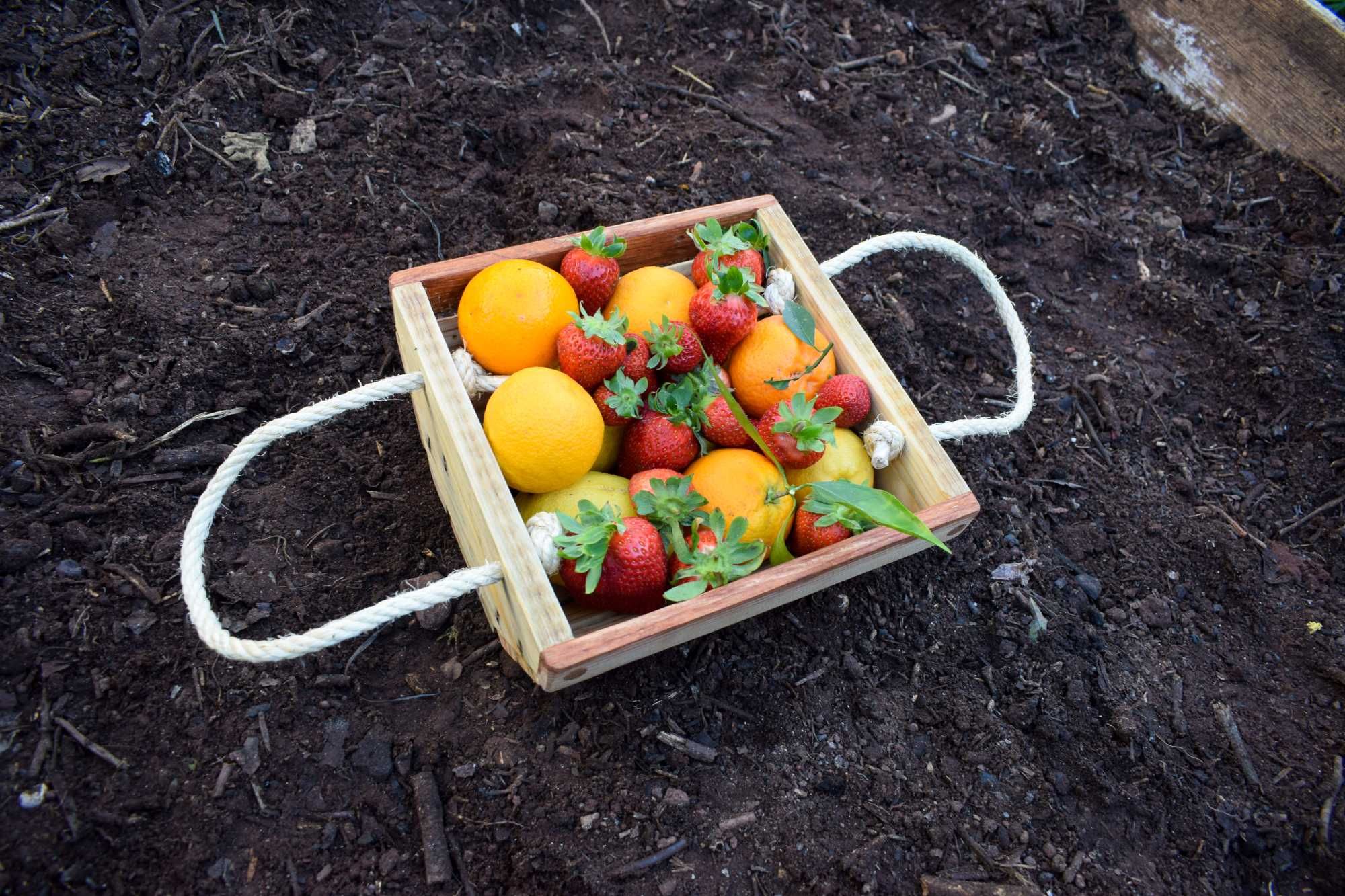 NaturaBasket: The Sustainable Reclaimed Wood Hanging Basket