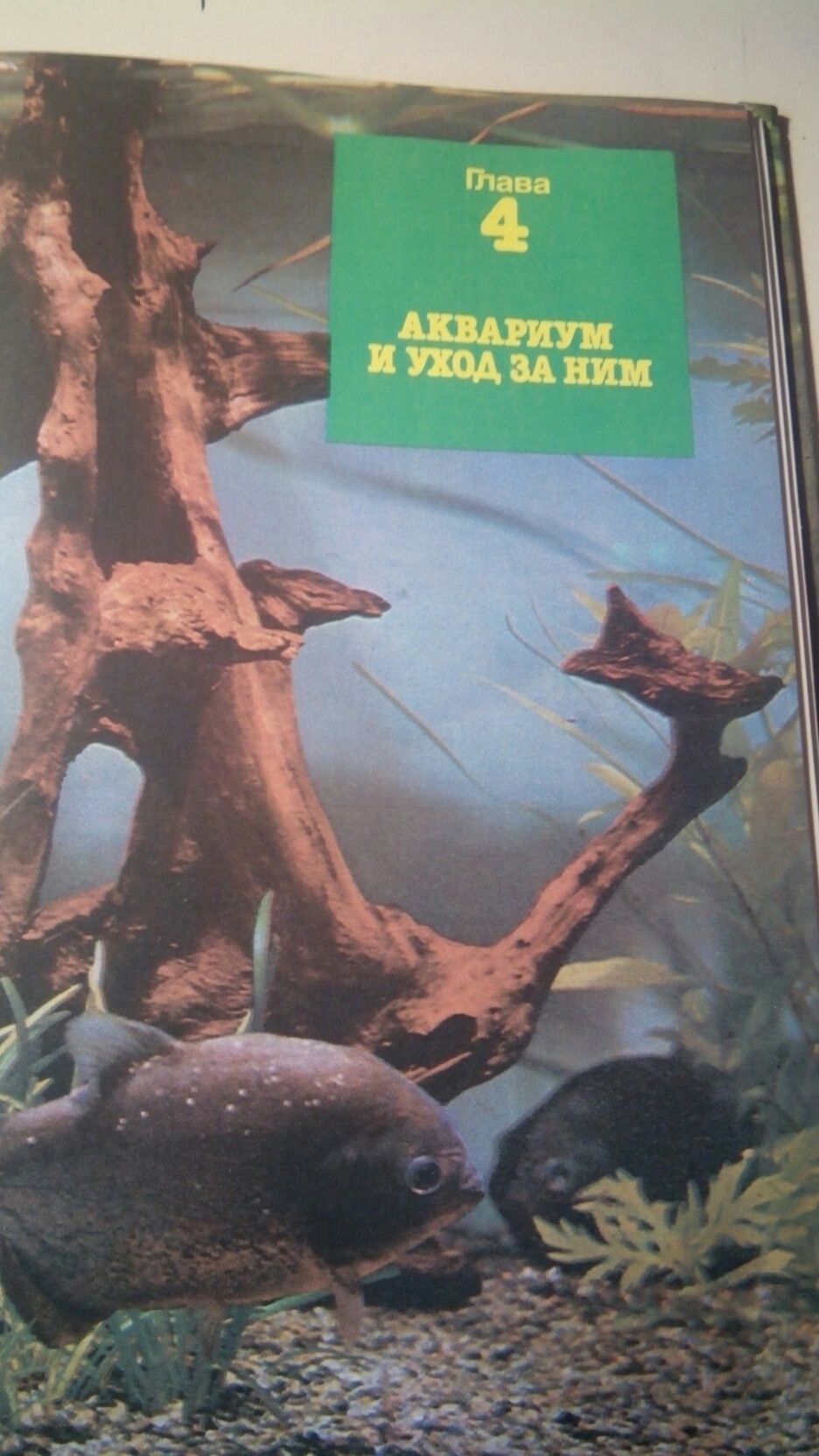 Книга " Мир аквариума".