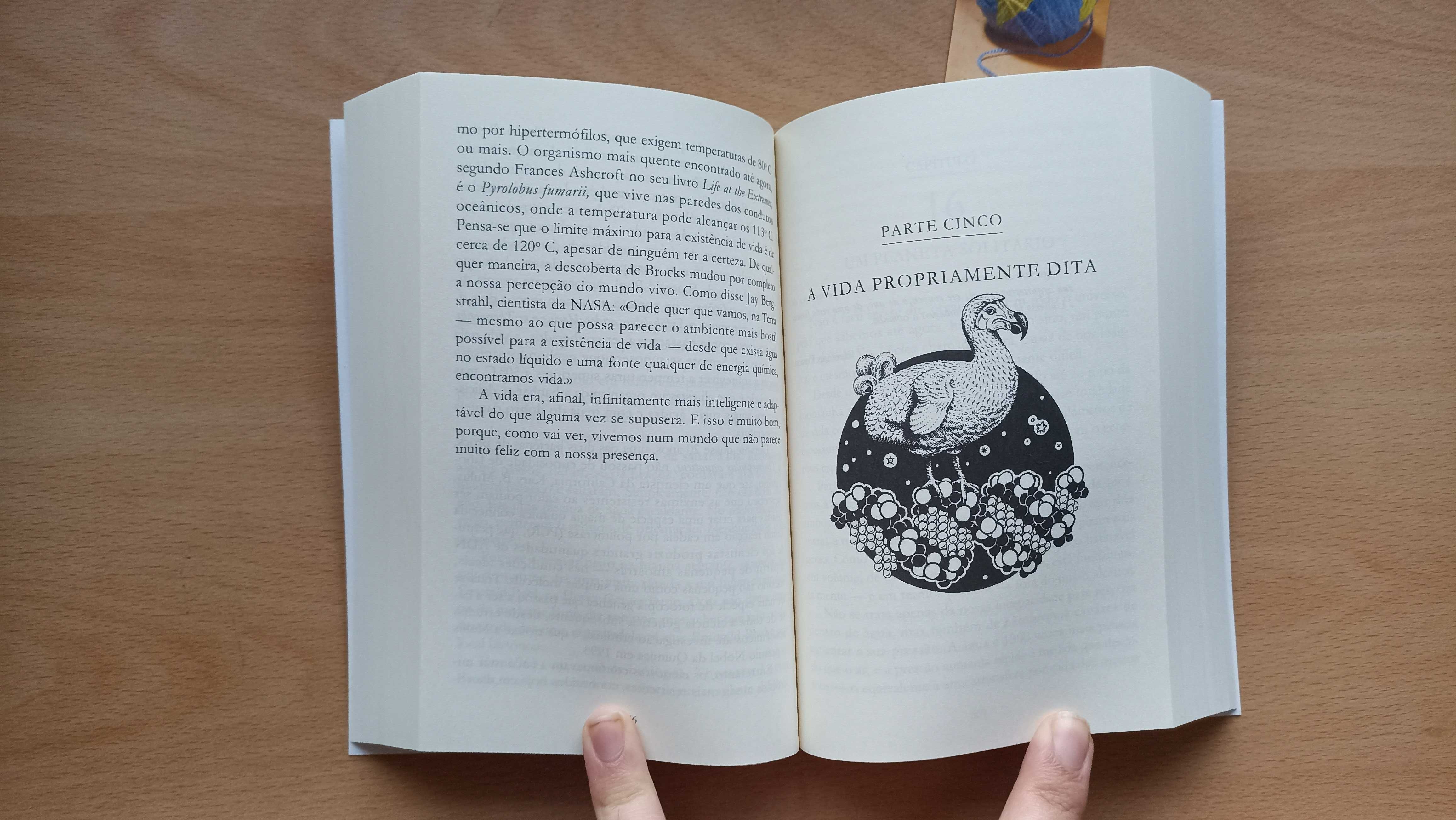 Livro "Uma Breve História de Quase Tudo" de Bill Bryson NOVO