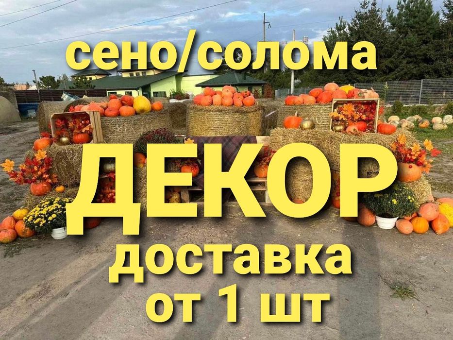 СОЛОМА ДЕКОР С ДОСТАВКОЙ ОТ 1 ШТ в тюках мешках (в корм, на подстилку)